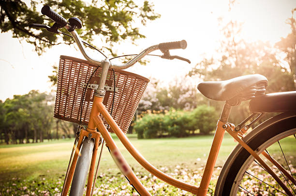 istock Classic Bicycle at sunset in the park or deep forest 482997822
