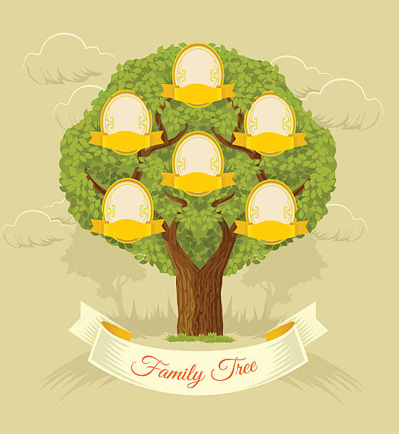 Family tree. Vector flat illustration Family tree. Vector flat illustration family tree chart stock illustrations
