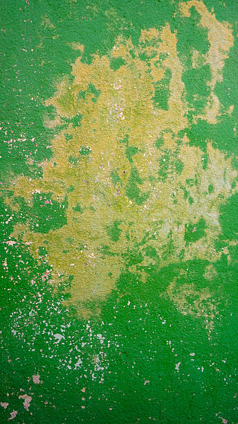 istock decay green color wall in Burano 483008246