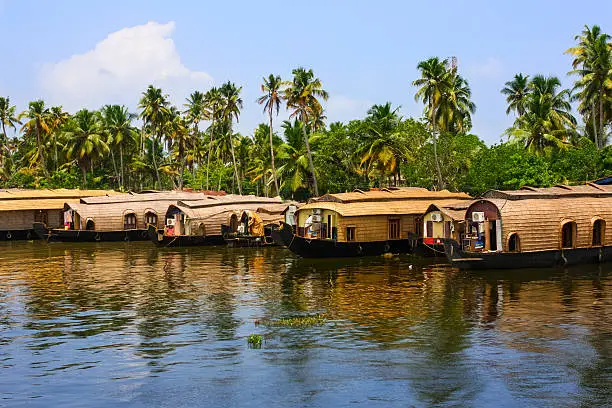 Photo of many boathouses in a row at the Kerala Backwaters, near Kochi, Kerala state, India.