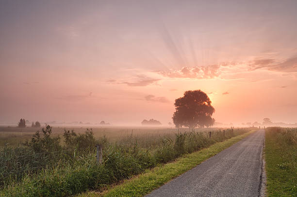 istock misty summer sunrise over bike road 483017942