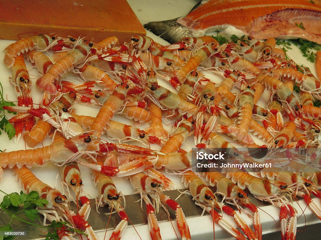 Fresh seafood Nephrops norvegicus or cigalas on display at Malaga Atarazana market 2015 Stock Photo