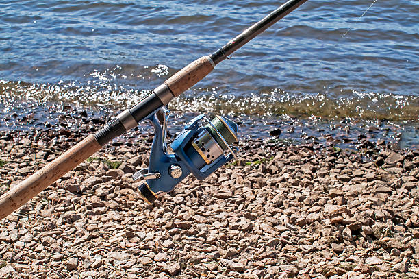 The coil on a spinning rod for fishing The blue coil for fishing on a spinning in the sunny summer day tinca tinca stock pictures, royalty-free photos & images