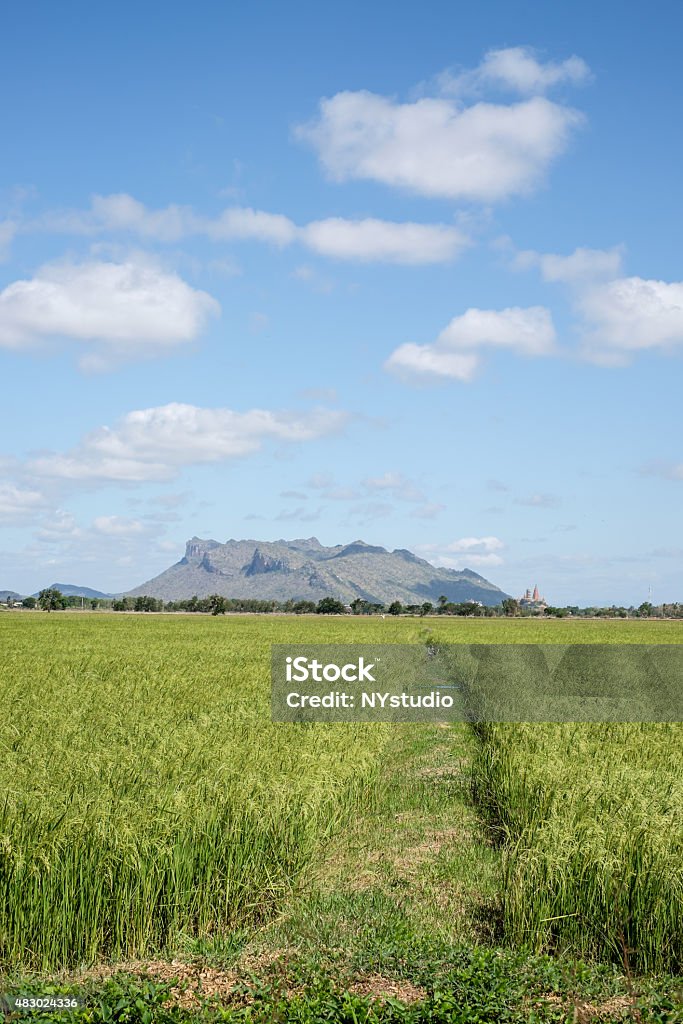 Arroz campo y paisaje de montaña con cielo azul en Kanchanaburi, - Foto de stock de 2015 libre de derechos