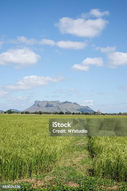 Arroz Campo Y Paisaje De Montaña Con Cielo Azul En Kanchanaburi Foto de stock y más banco de imágenes de 2015