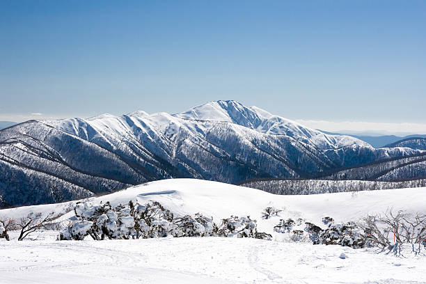 Mt Hotham in Winter stock photo