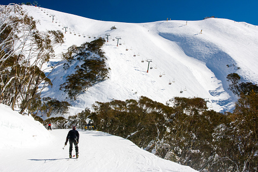 The slopes of Mt Hotham and a ski trail on a fine winter's day with fresh snow