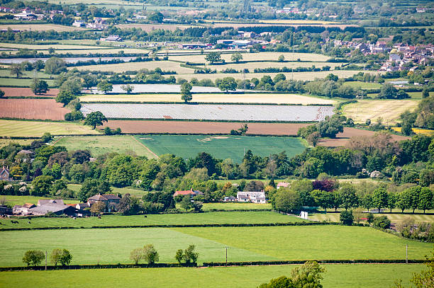 istock Countryside Landscape In The Cotswolds, England 483036998