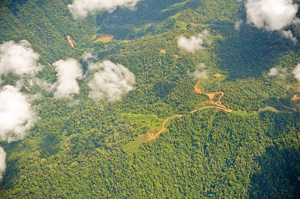 istock Mostly Intact Rainforest, Costa Rica 483037010