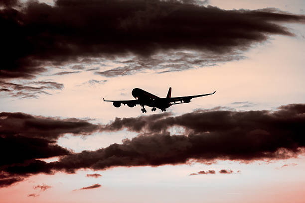 istock Aircraft landing at dusk 483038402