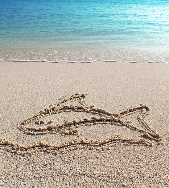 istock The fish - a picture on sand 483041600