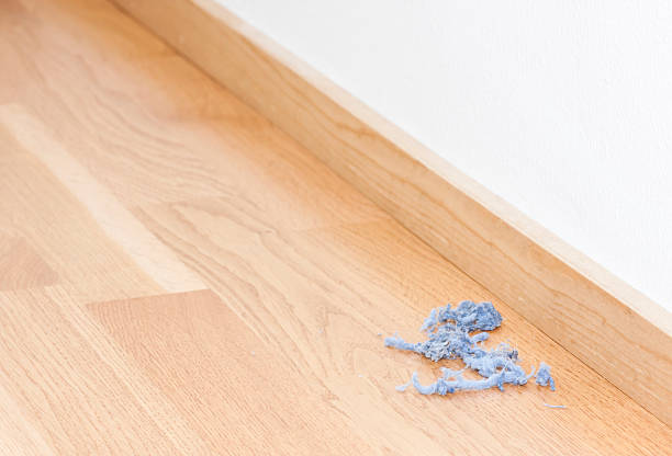 Blue dust rolls on the floor stock photo