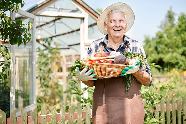 istock Full of proud from my vegetables 483045338
