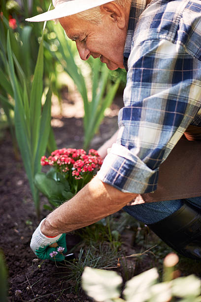 istock Time for new soil for my flower 483045352