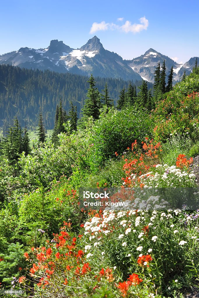 Catena montuosa di Tatoosh - Foto stock royalty-free di Agosto