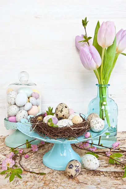 Little easter nest with quail eggs, pink blossoms and purple tulips