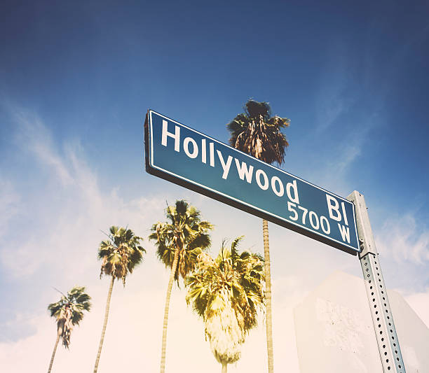 hollywood blvd und road sign mit palmen linning der straße - the hollywood boulevard stock-fotos und bilder