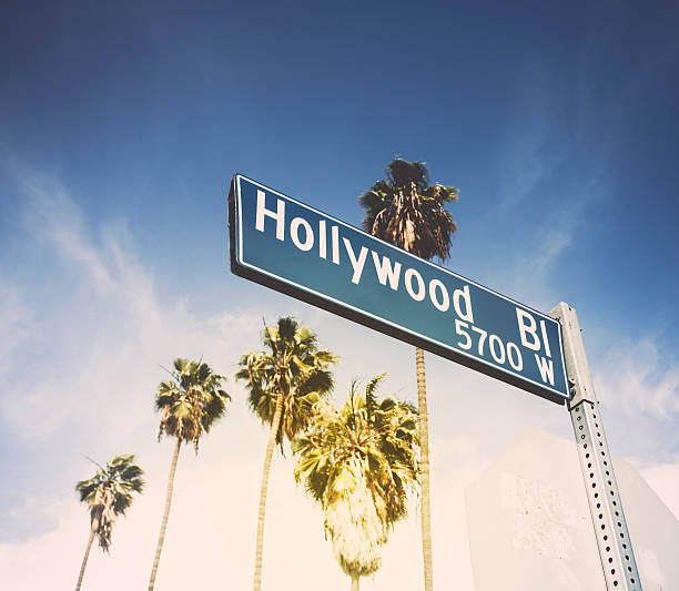 hollywood blvd señal con palmeras linning de la calle - boulevard fotografías e imágenes de stock