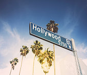 Hollywood Blvd Road SIgn WIth Palm Trees Linning The Street