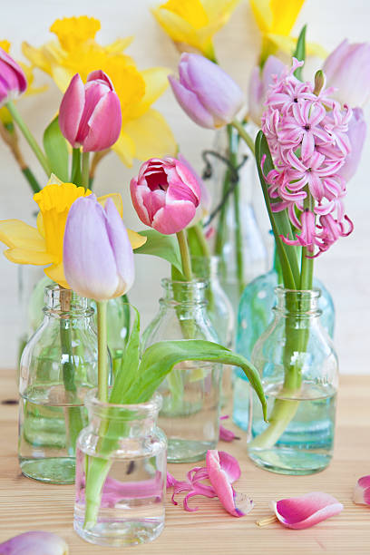 istock Colorful flowers in little bottles 483046877