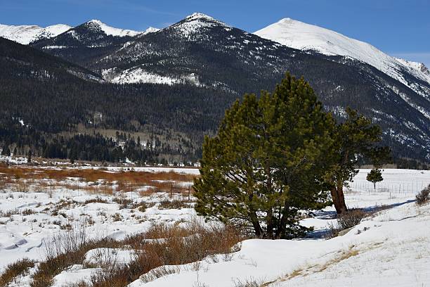 istock Rocky Mountain National Park in Winter 483047055