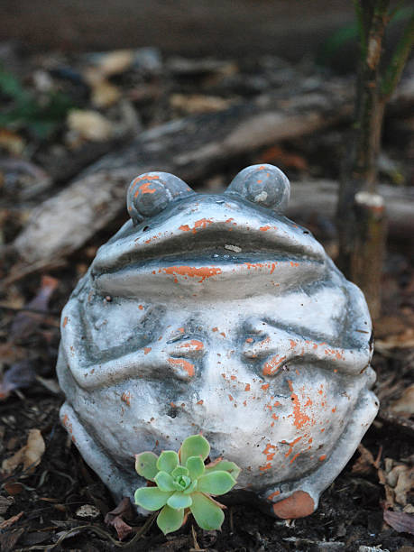 istock Happy Ceramic Clay Frog with Green Succulent Plant 483047863