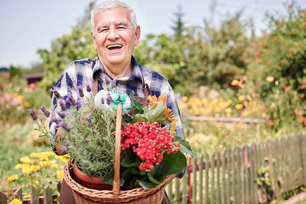 istock I have some new flowers in the basket 483050016