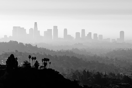 Downtown Los Angeles smog and fog black and white.