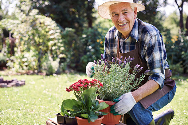 es ist zeit für seeding von blumen - senior adult gardening freshness recreational pursuit stock-fotos und bilder