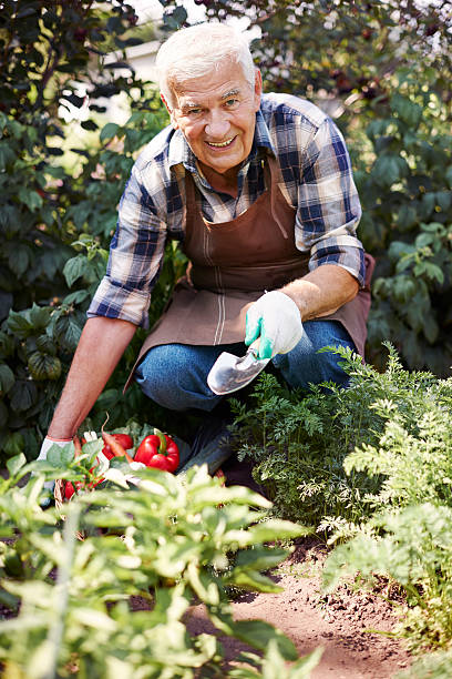 istock My garden always looks perfect 483050576