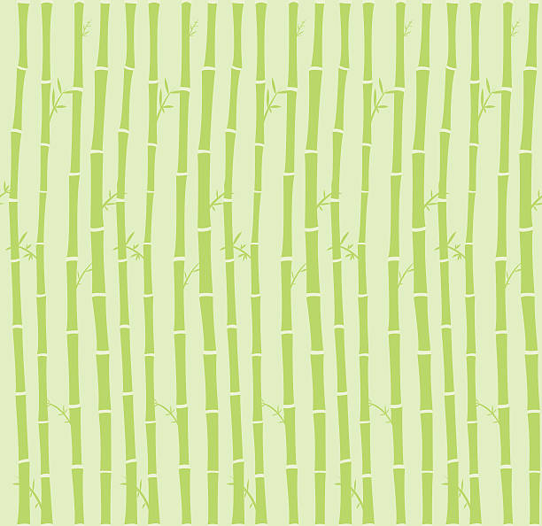 Bamboo seamless background Vector seamless background - bamboo asian wallpaper stock illustrations