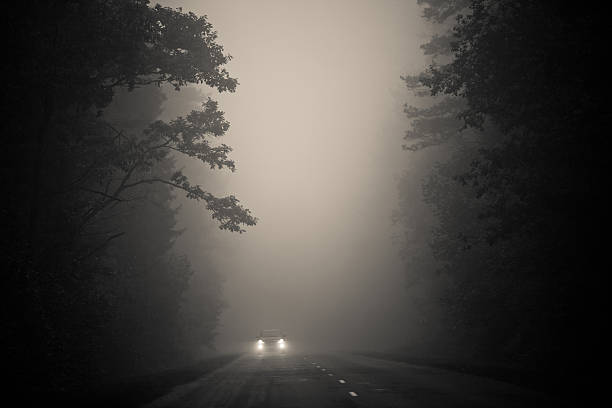 istock car and highway in a forest 483056388