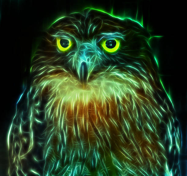 istock Digital drawing of a owl 483056414