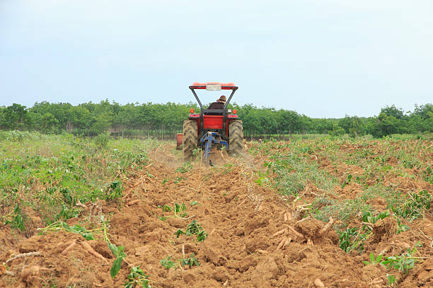 istock Stock Photo: Farmer was drove tractor plowing the soil 483056980