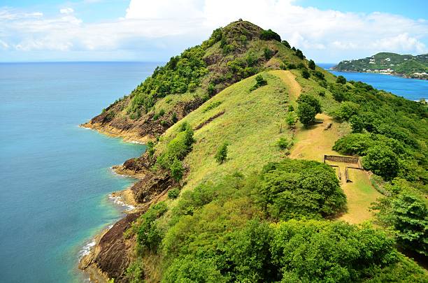 istock lush green nature reserve park and headland 483057042
