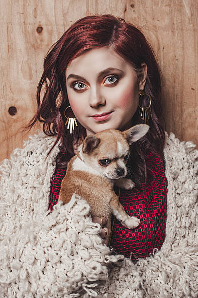 美しい若い女性、チワワ子犬犬の pet - young animal flash ストックフォトと画像