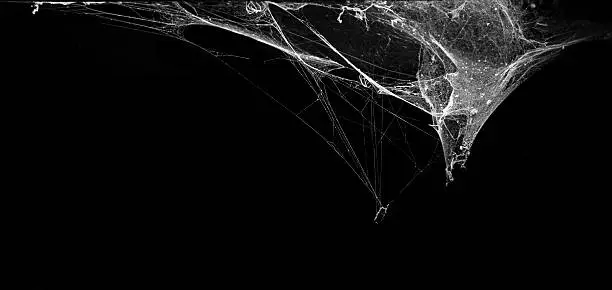 Photo of cobweb spider web in ancient thai house isolated on black
