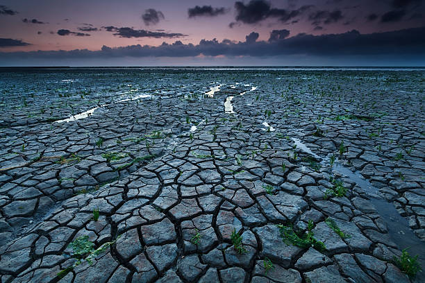 istock dry cracked coast at North sea 483061418