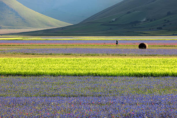 photographe en robe verte-bleue près de castelluccio, italie - natural landmark outdoors vertical saturated color photos et images de collection