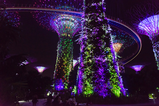 Singapore, Singapore - June 24, 2015: Gardens by the bay Singapore at night.