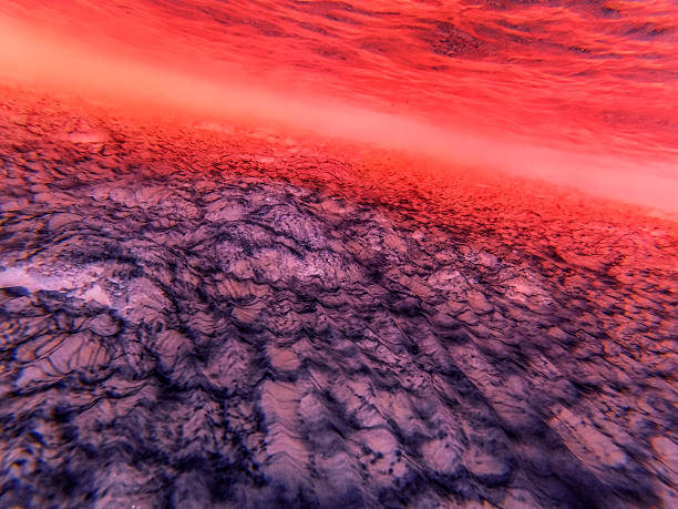 istock Defocused infrared abstract bakcground 483071760