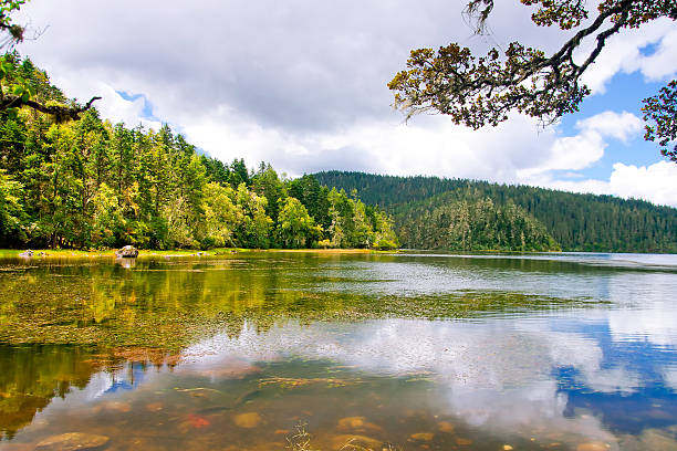 Pudacuo national park in china Pudacuo national park . Taken in the Shangri-La Yunnan China clearwater stock pictures, royalty-free photos & images