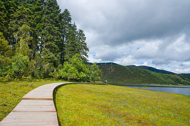 istock Pudacuo national park in China 483074177