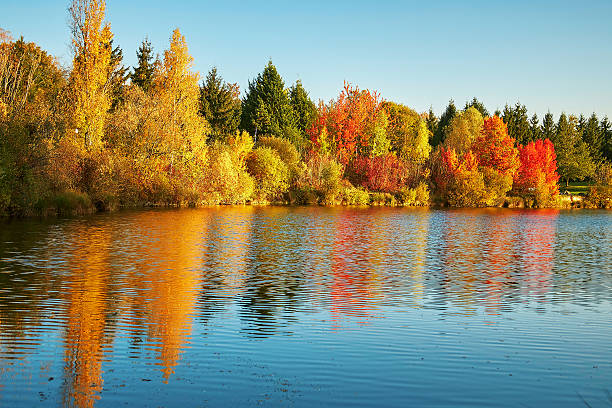 istock Scenic autumn landscape 483074742
