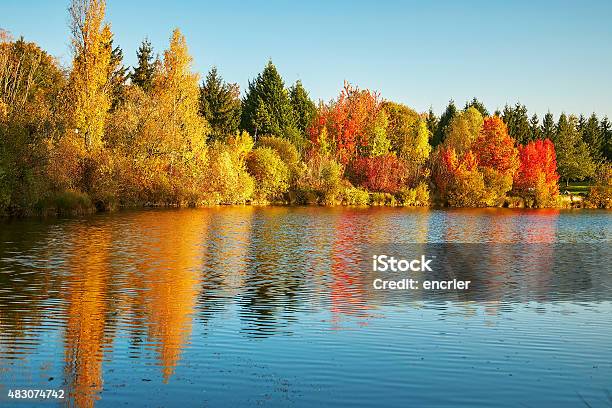 Scenic Autumn Landscape Stock Photo - Download Image Now - 2015, Autumn, Beauty