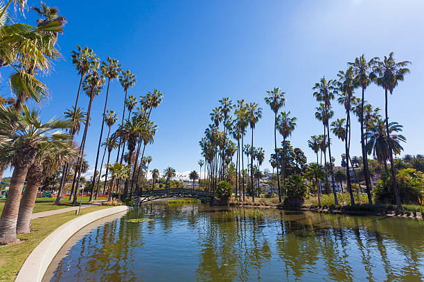 istock Los Angeles Echo Park California 483074907