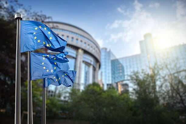 european union flag against parliament in brussels - europe stockfoto's en -beelden