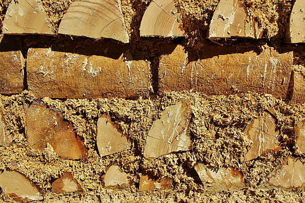 Wall made of hempcrete and logs in Saranac, Michigan stock photo