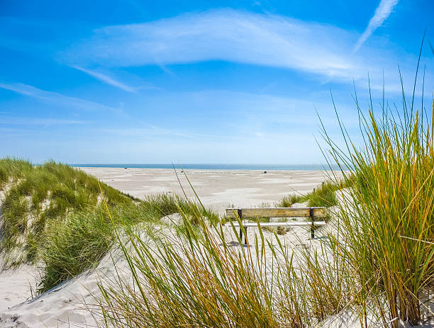 istock Beautiful tranquil dune landscape and long beach at North Sea 483075312