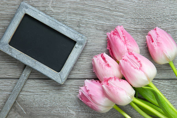 istock fringed fancy frills tulips on wooden background 483075507